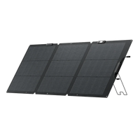 Pannello Solare Pieghevole di 160W
