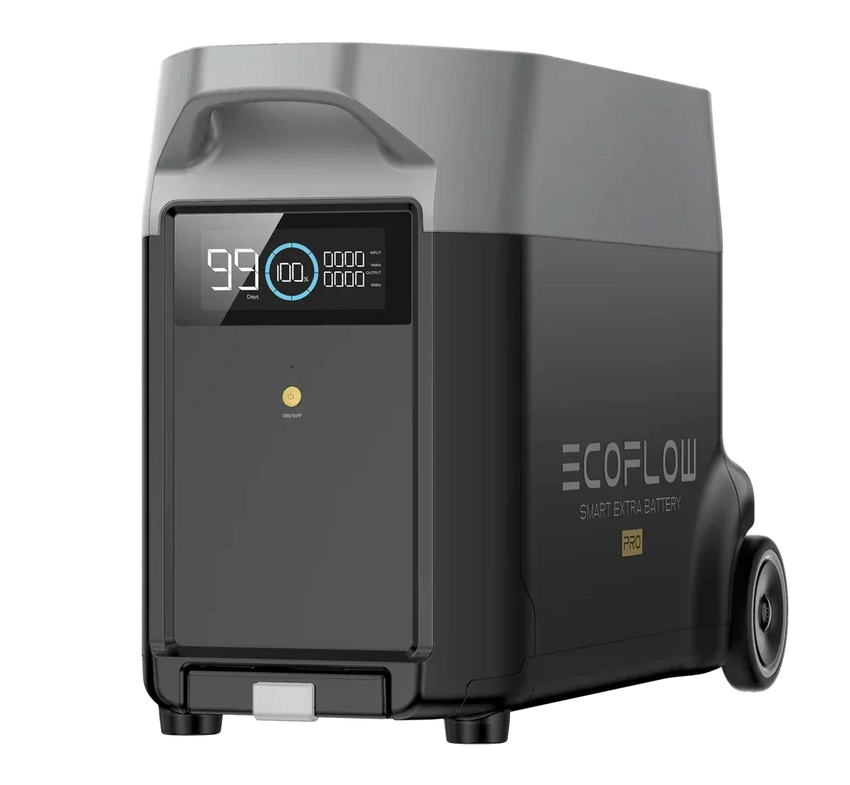 Vista laterale con schermo