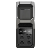 Power Station da Campeggio Ecoflow delta 3 Con batteria aggiuntiva sopra